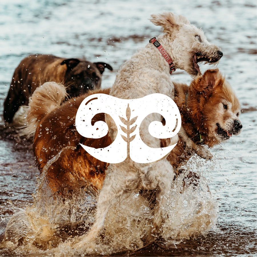 Cedar Creek Dog Treats